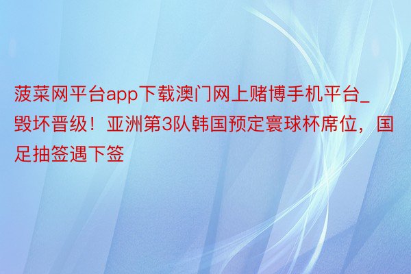 菠菜网平台app下载澳门网上赌博手机平台_毁坏晋级！亚洲第3队韩国预定寰球杯席位，国足抽签遇下签